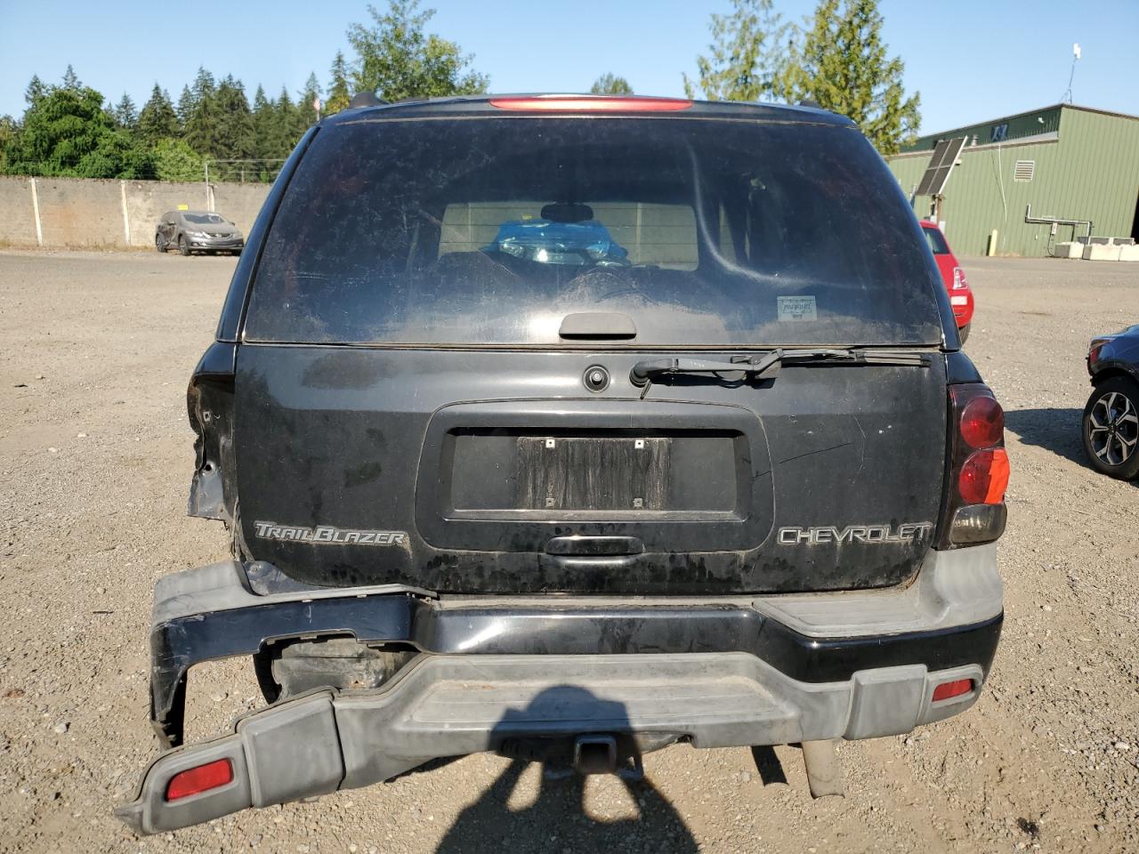 2002 Chevrolet Trailblazer VIN: 1GNDT13S422235124 Lot: 63765384