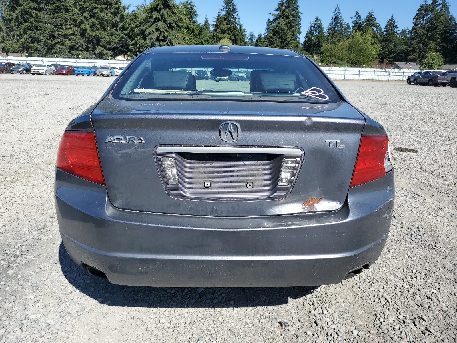 19UUA66246A020704 2006 Acura 3.2Tl