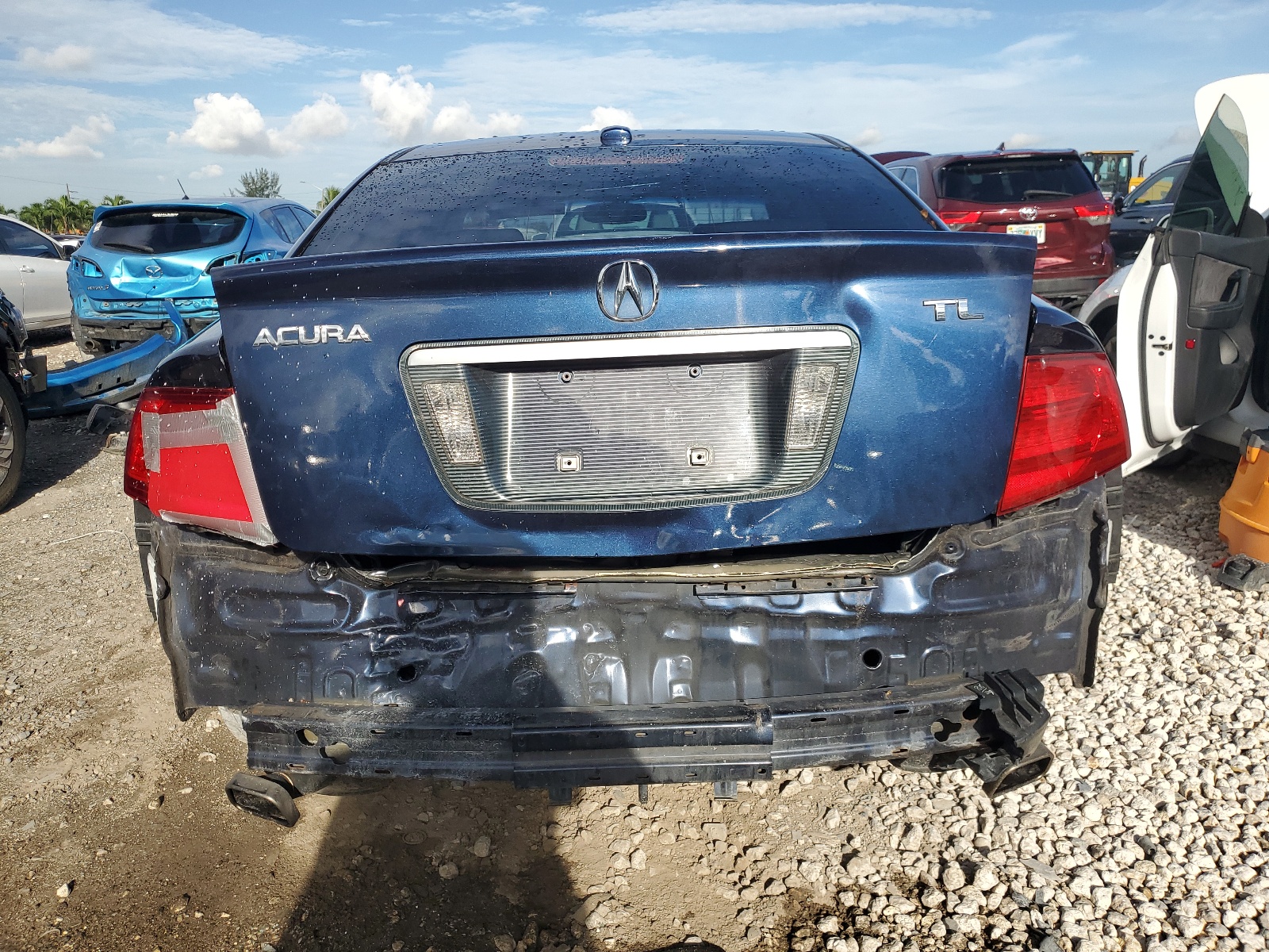19UUA66244A030310 2004 Acura Tl