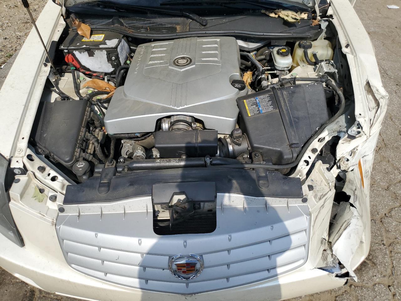 2007 Cadillac Cts VIN: 1G6DM57T770113511 Lot: 62824644