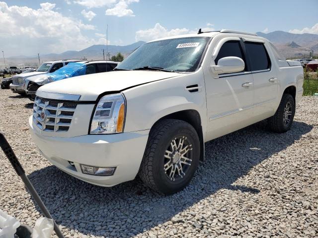 Пикапы CADILLAC ESCALADE 2013 Белый