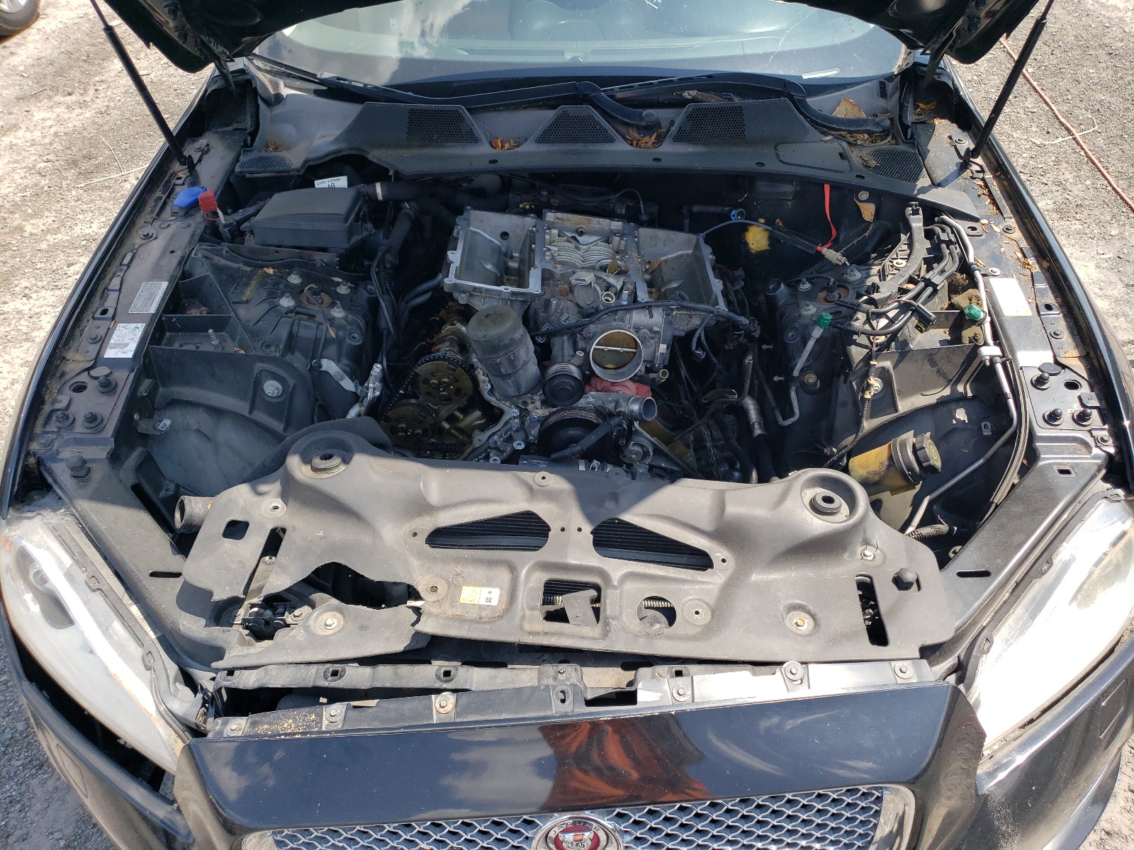 SAJWJ2GD9F8V76712 2015 Jaguar Xjl Portfolio