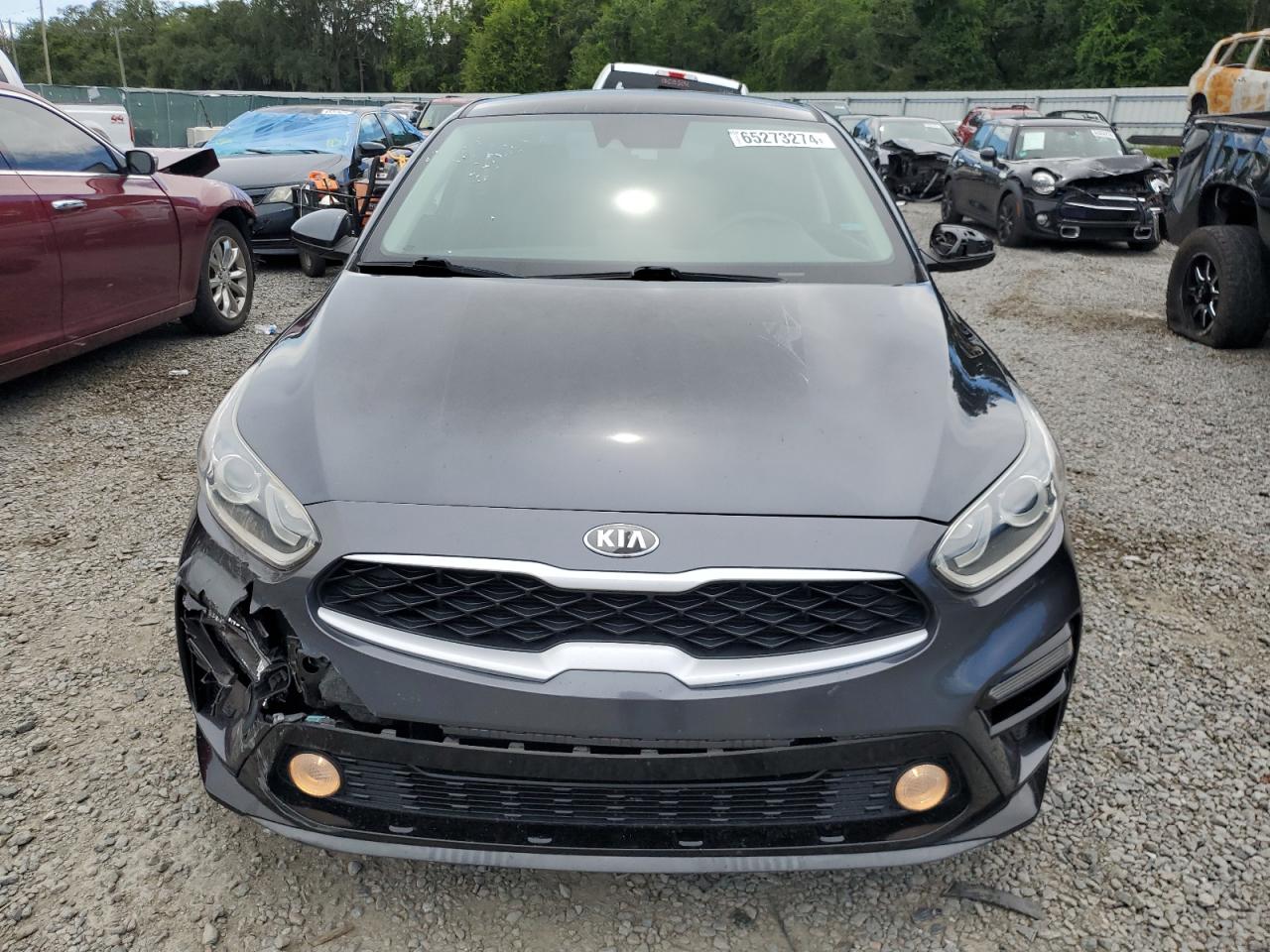 2019 Kia Forte Fe VIN: 3KPF24AD2KE059123 Lot: 65273274