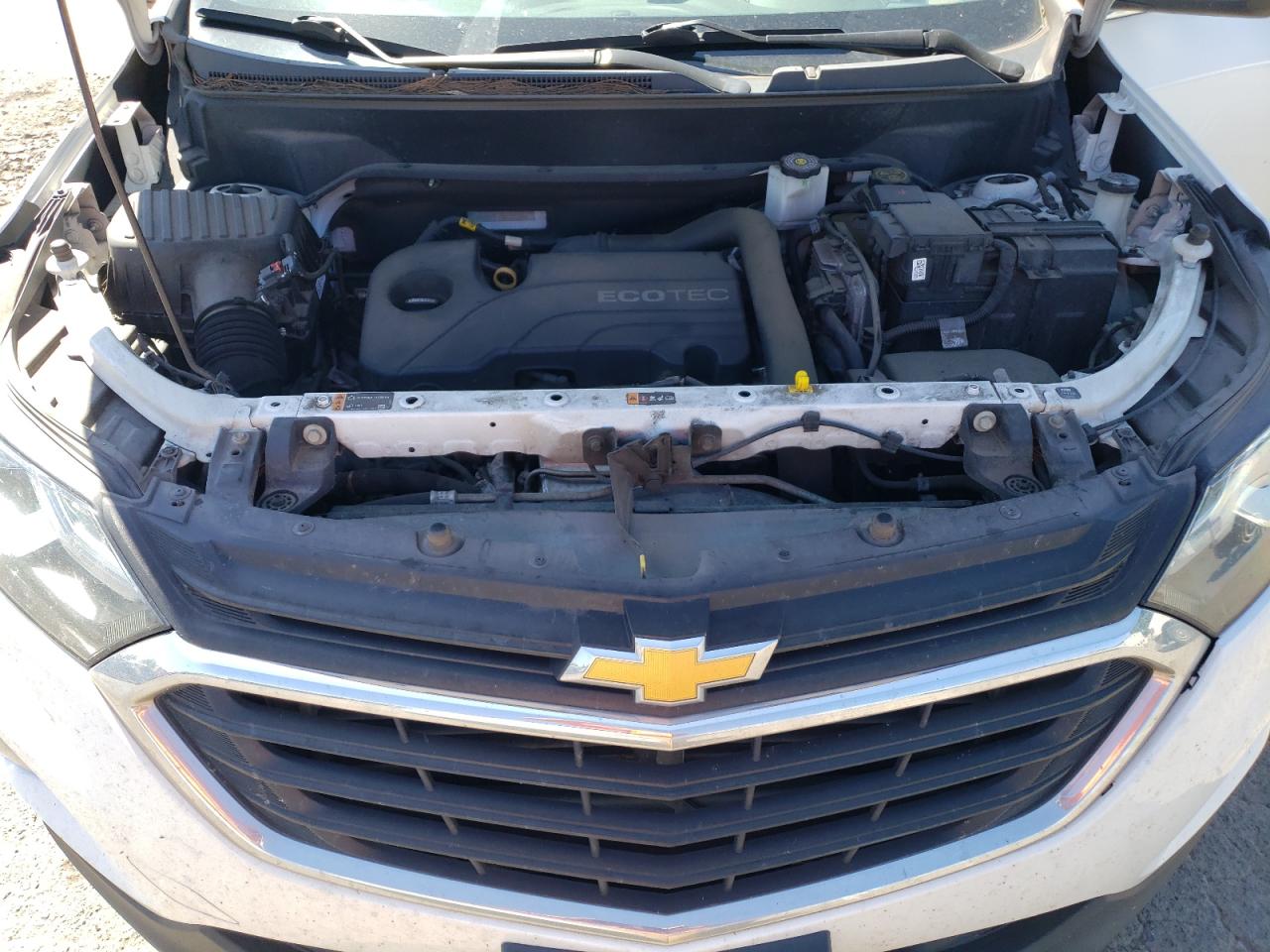 VIN 2GNAXTEV3K6143256 2019 CHEVROLET EQUINOX no.12