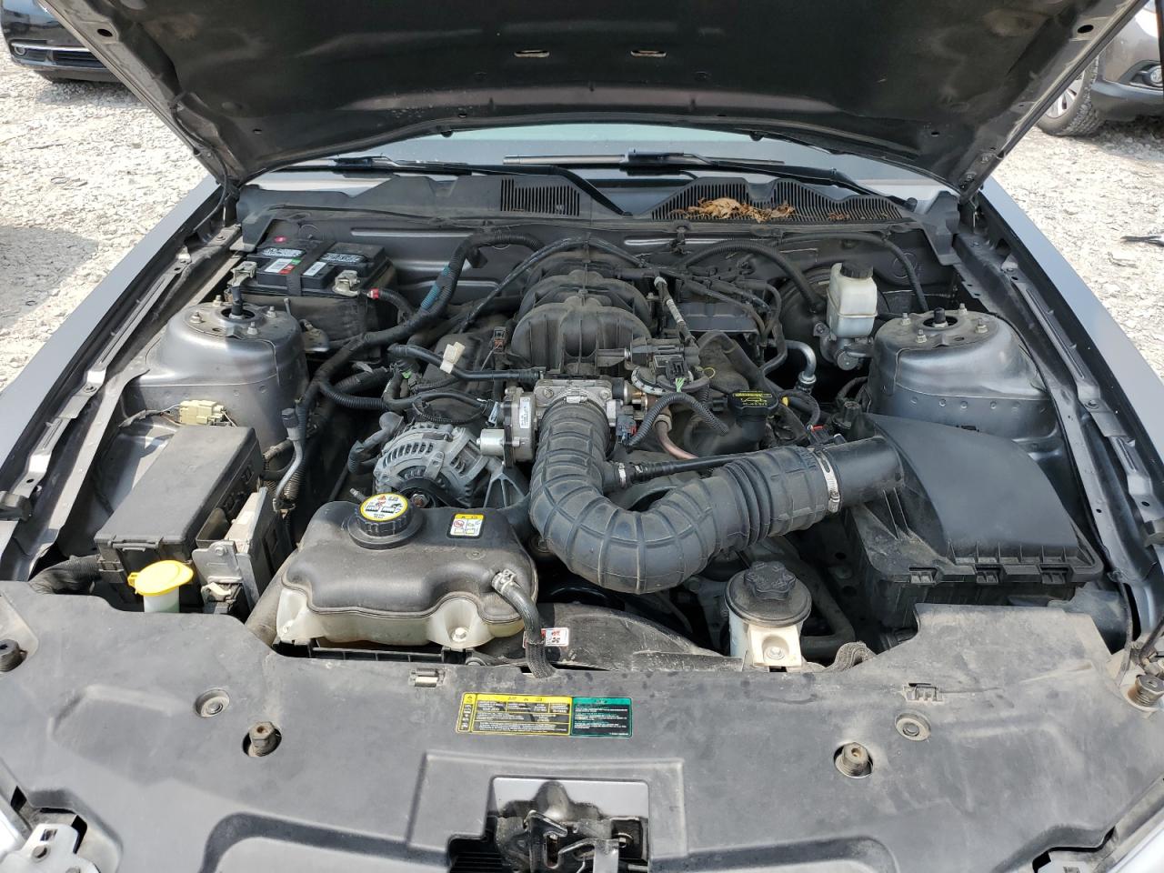 2010 Ford Mustang VIN: 1ZVBP8EN2A5110671 Lot: 63763844