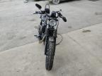 Ellwood City, PA에서 판매 중인 2019 Harley-Davidson Xl883 N - All Over