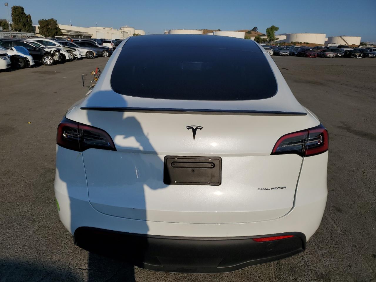 2023 Tesla Model Y VIN: 7SAYGDEE0PF715269 Lot: 62473294