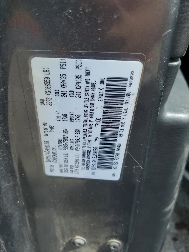 2002 Dodge Ram 1500 VIN: 1D7HA16N12J220226 Lot: 62504894