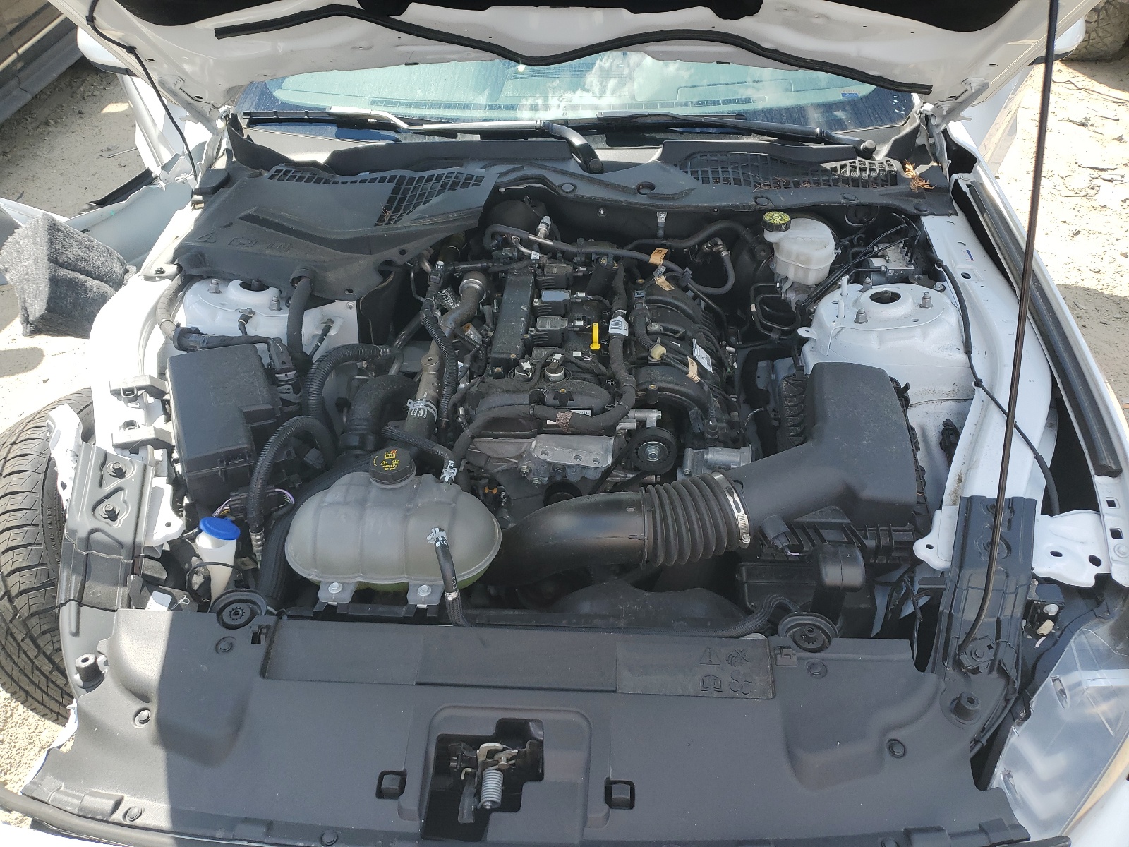 1FA6P8TH9N5148959 2022 Ford Mustang