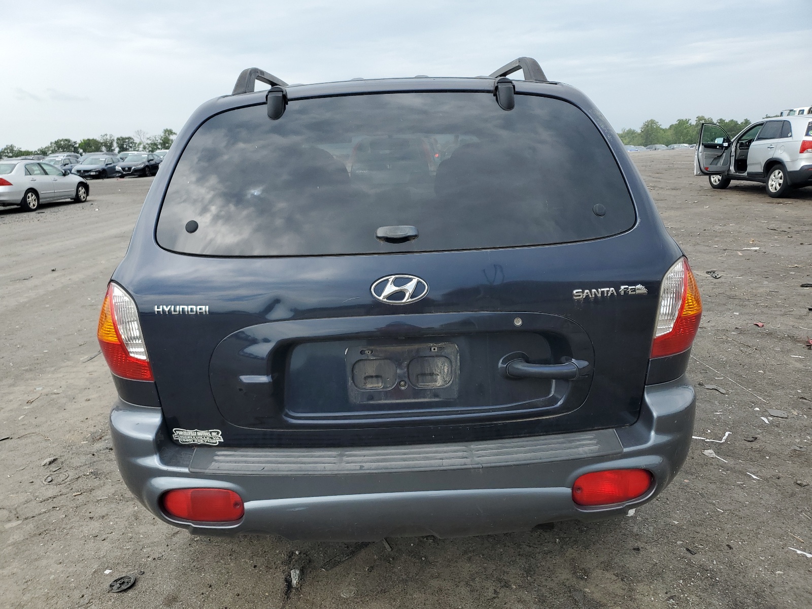 KM8SB12B04U622535 2004 Hyundai Santa Fe Gl