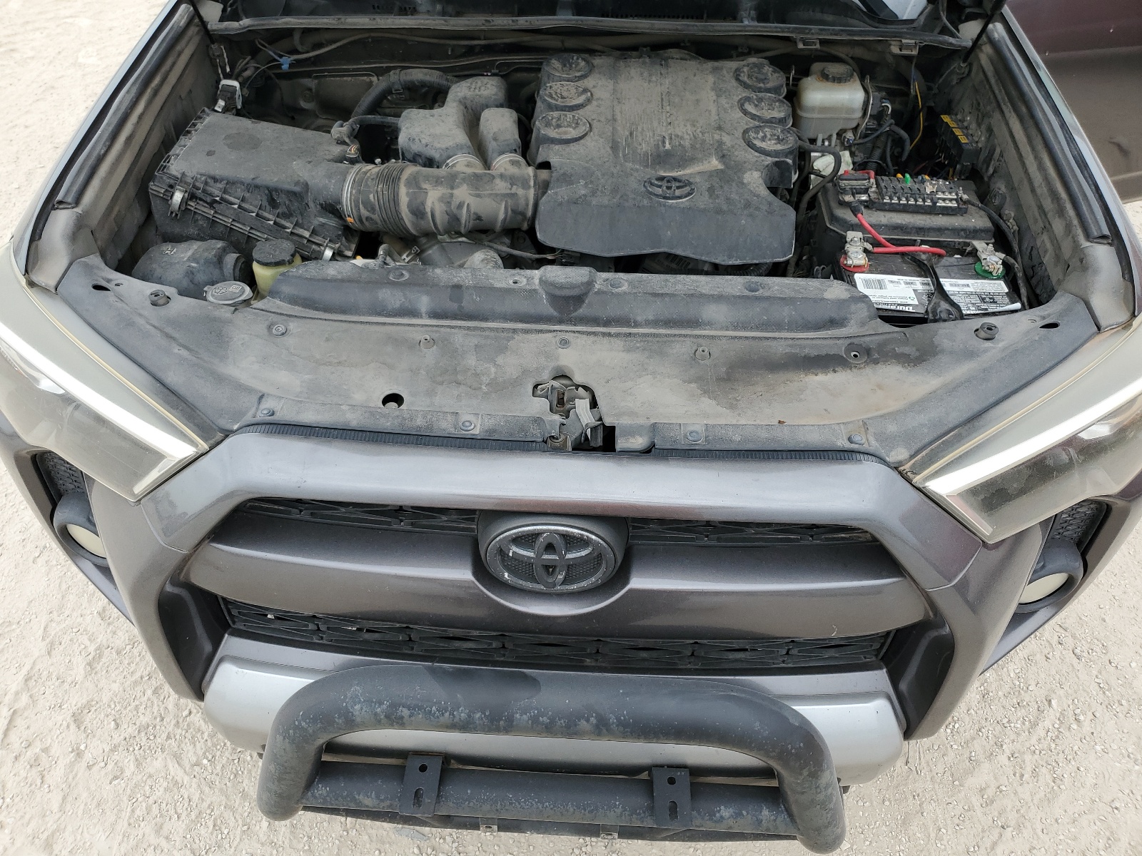 JTEBU5JR4G5309454 2016 Toyota 4Runner Sr5/Sr5 Premium