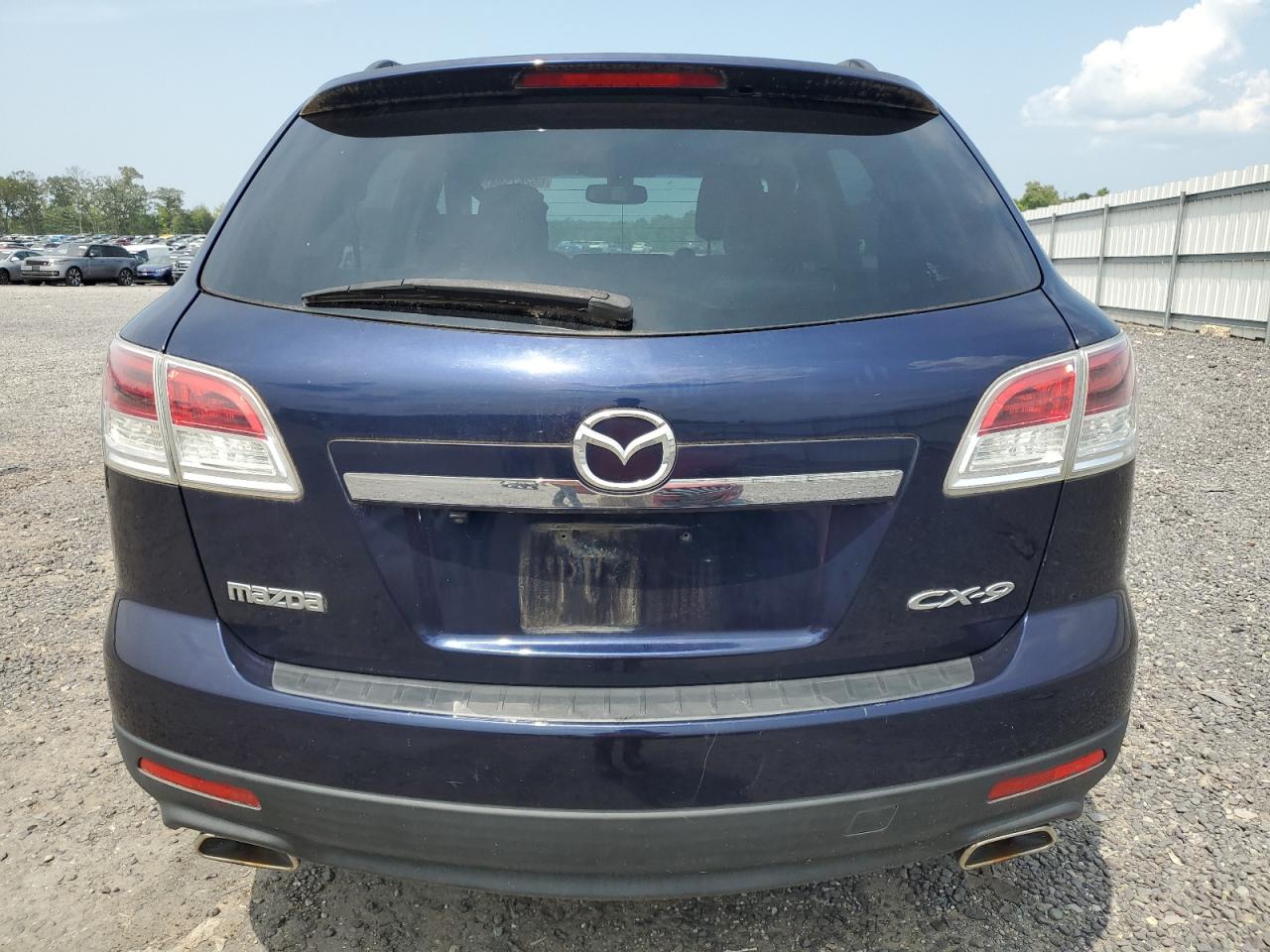 2009 Mazda Cx-9 VIN: JM3TB38V890166604 Lot: 65267594