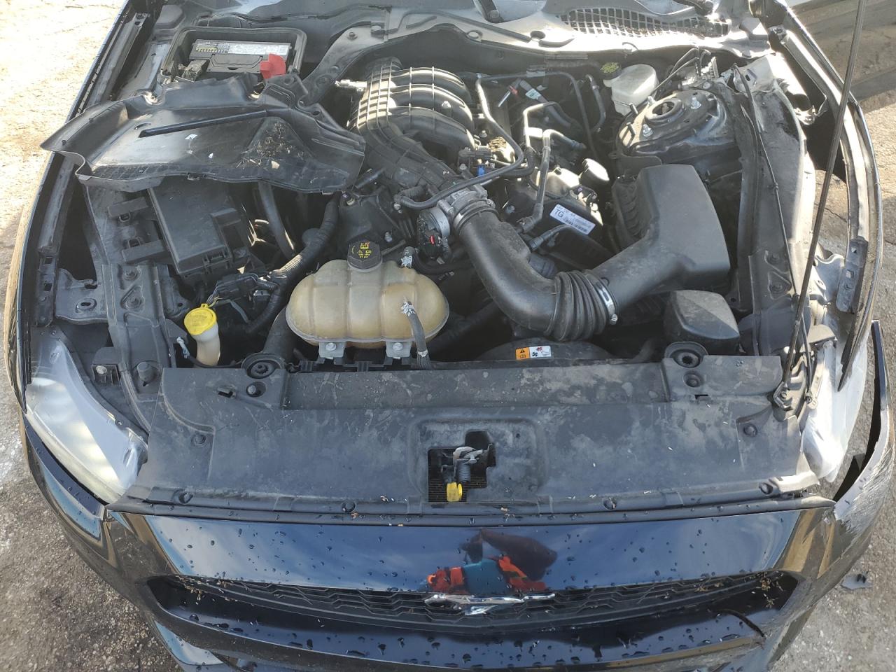 2016 Ford Mustang VIN: 1FA6P8AM1G5220899 Lot: 61944244