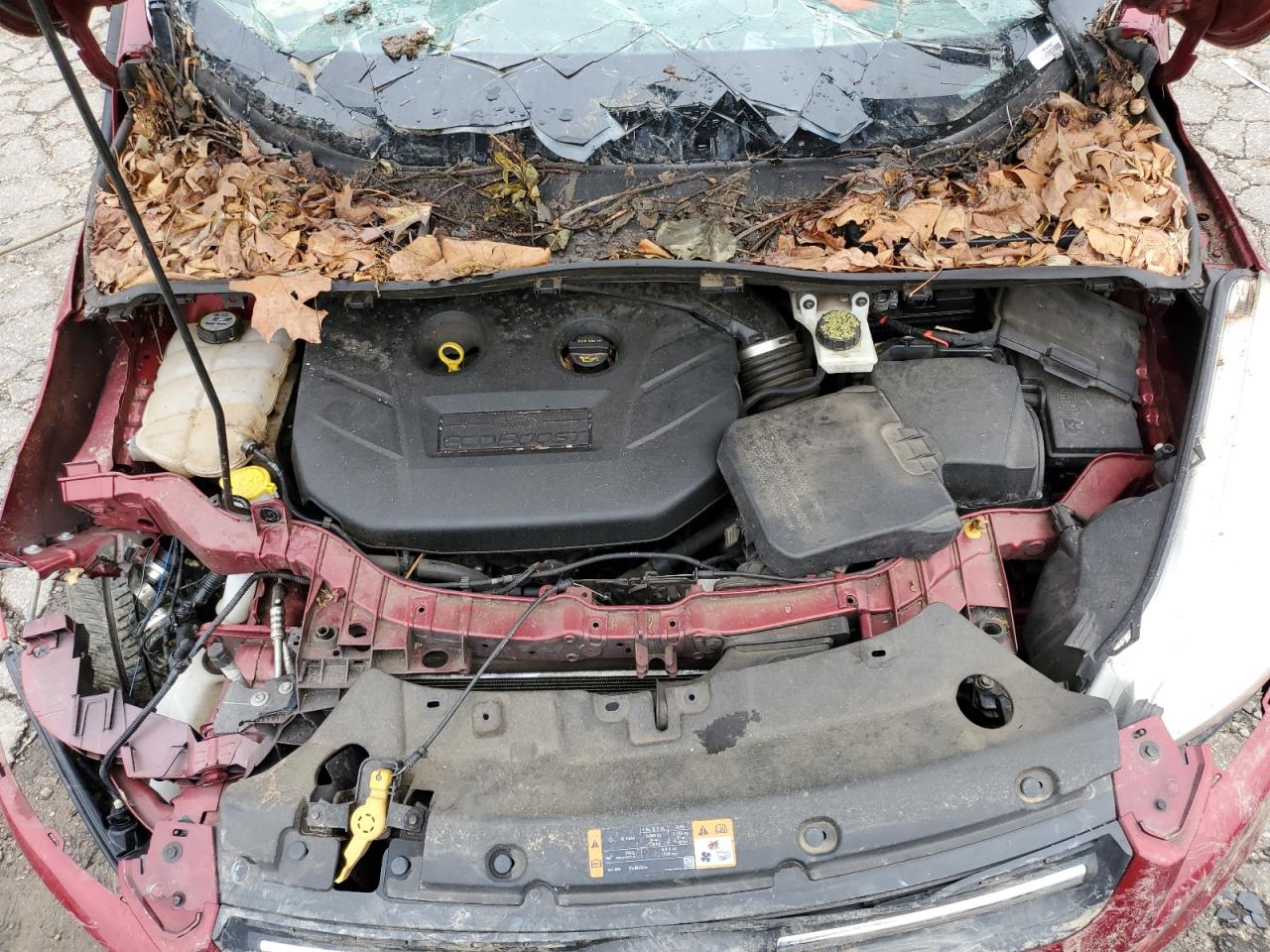 2013 Ford Escape Se VIN: 1FMCU0G91DUC08288 Lot: 65540384