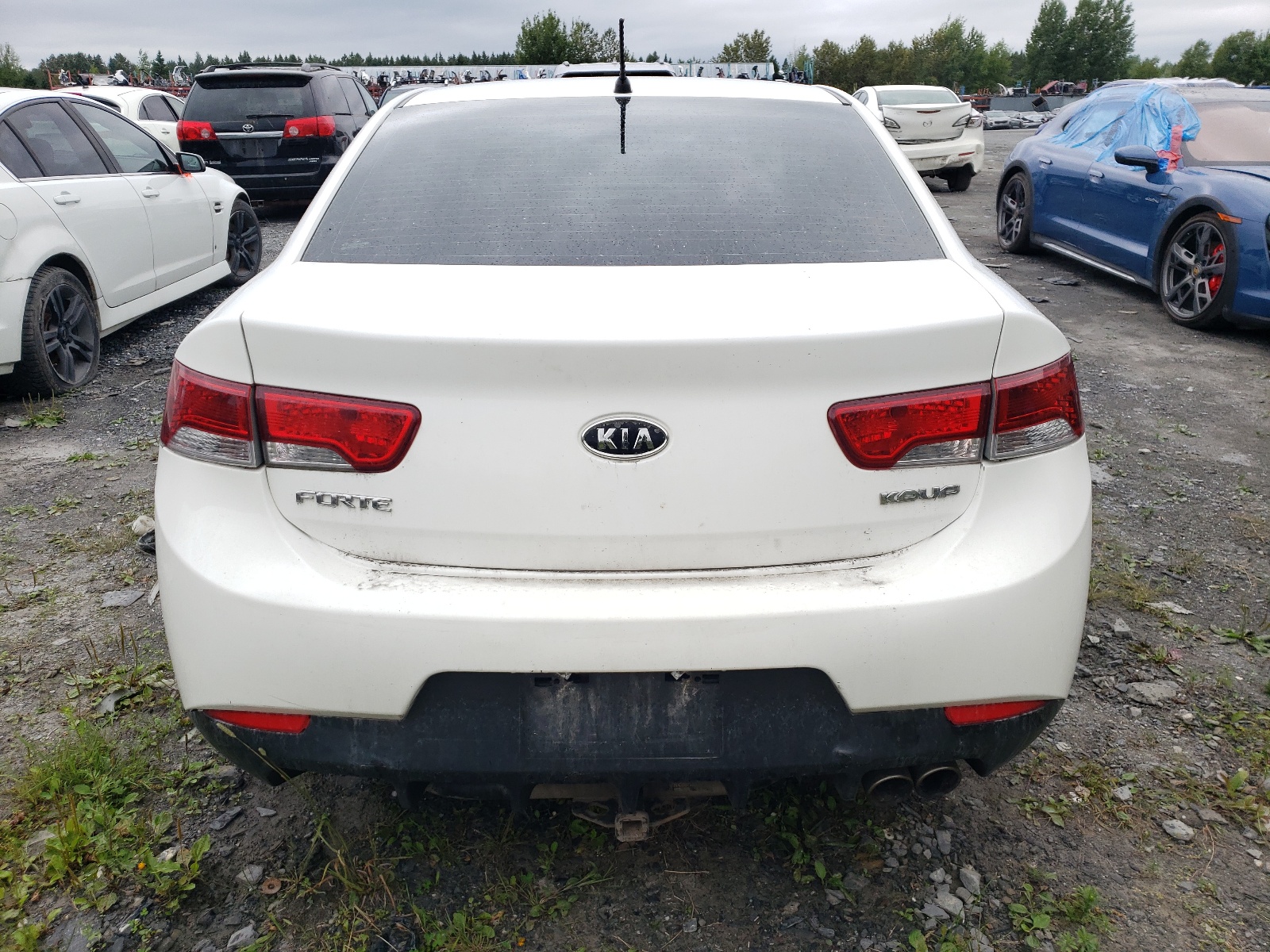 KNAFU6A27A5264447 2010 Kia Forte Ex