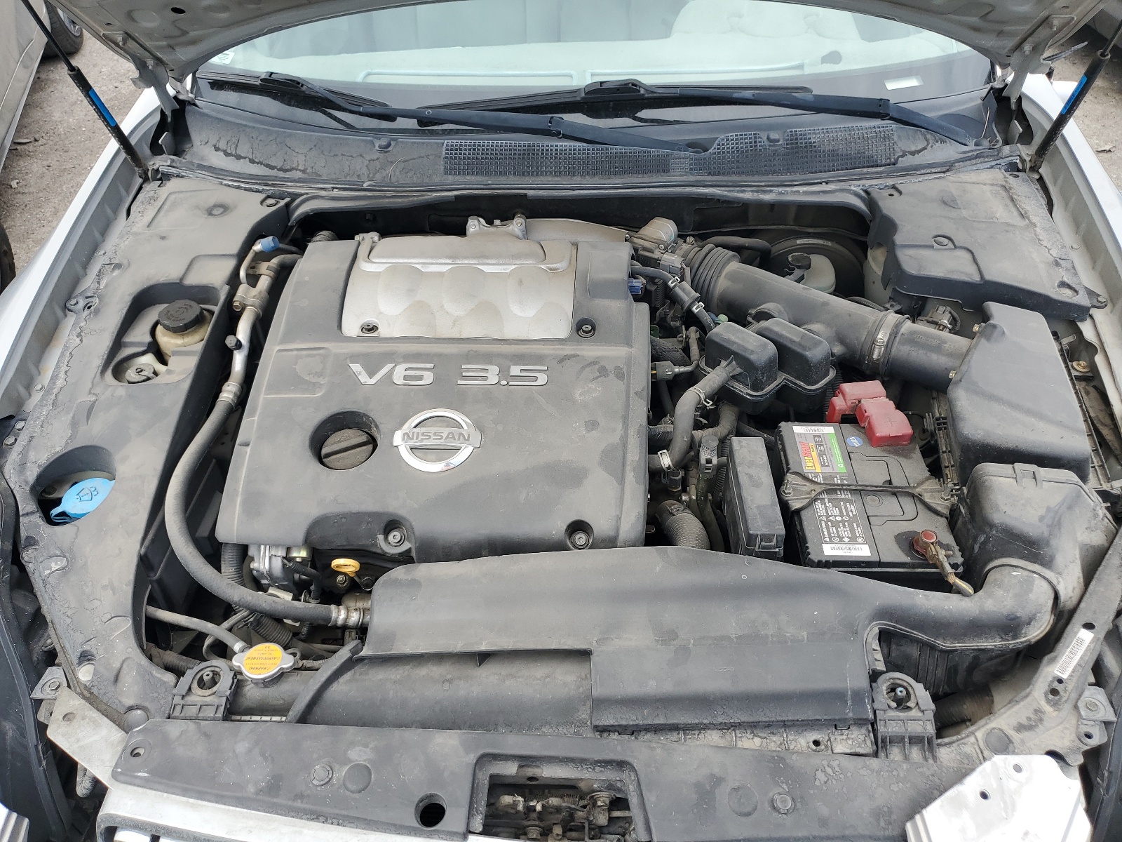 1N4BA41E34C869354 2004 Nissan Maxima Se