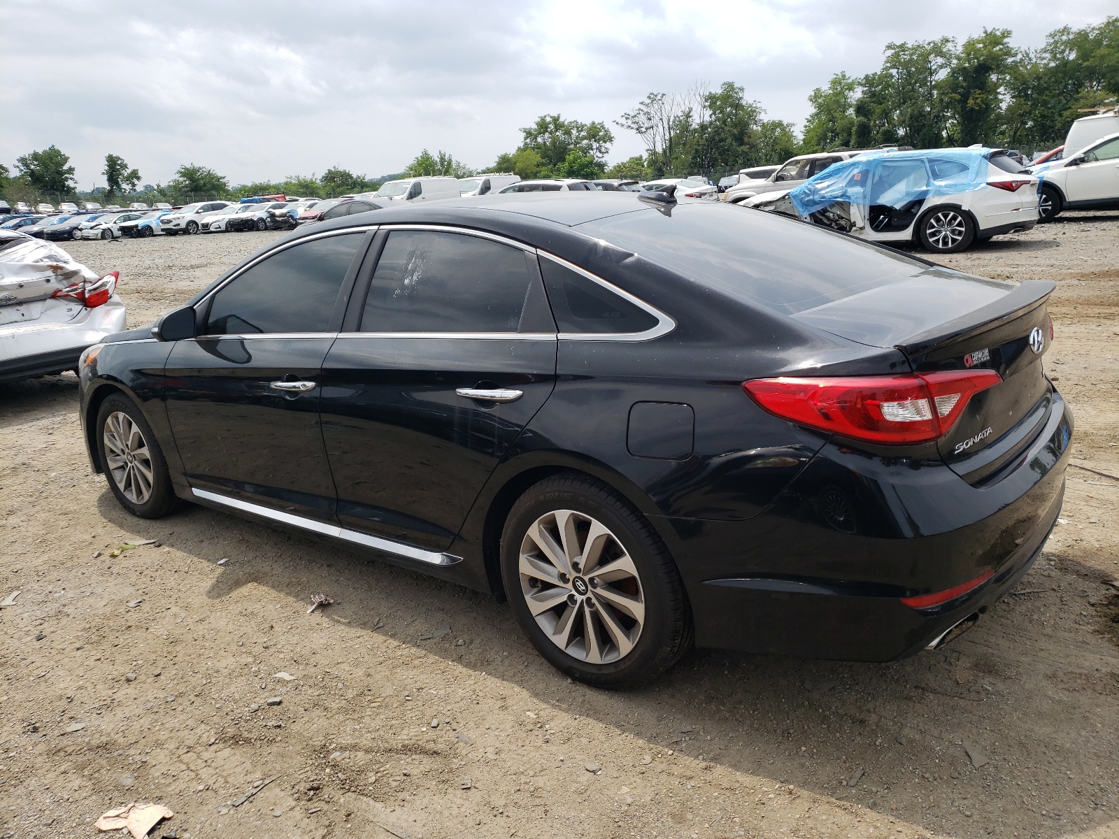 2015 Hyundai Sonata Sport vin: 5NPE34AF2FH236684