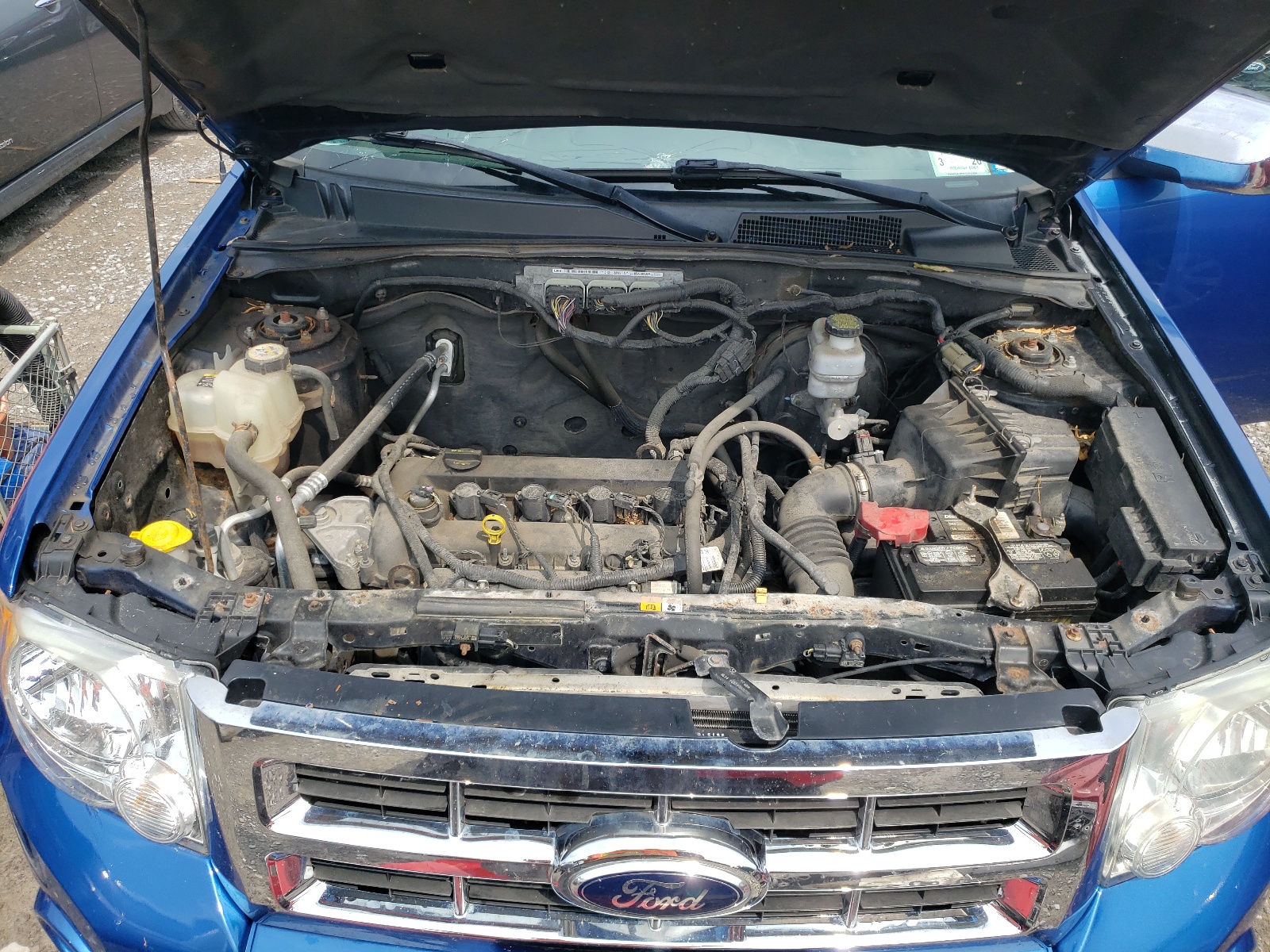 1FMCU9D71CKC61882 2012 Ford Escape Xlt