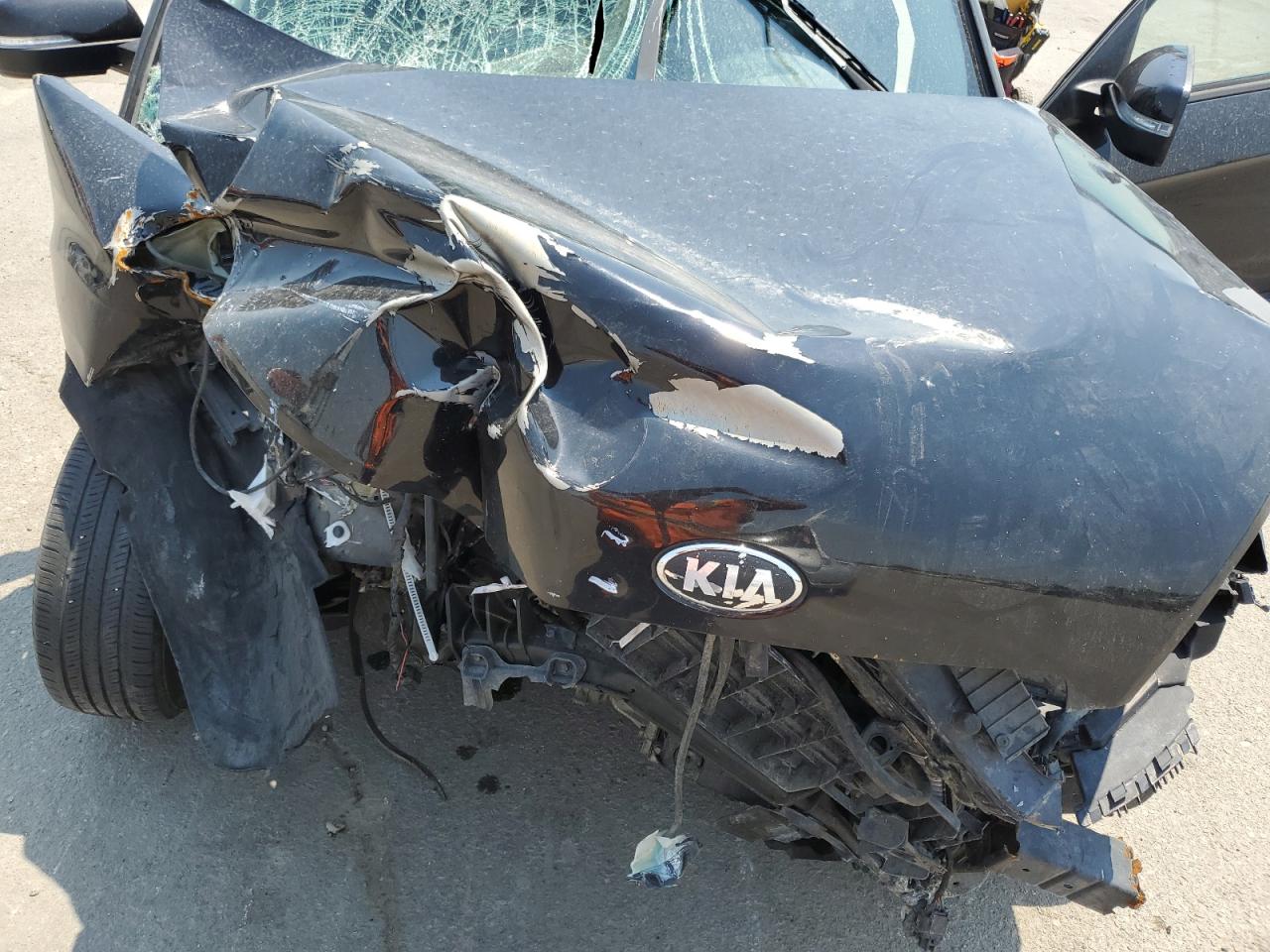 2013 Kia Soul + VIN: KNDJT2A69D7554838 Lot: 63090694