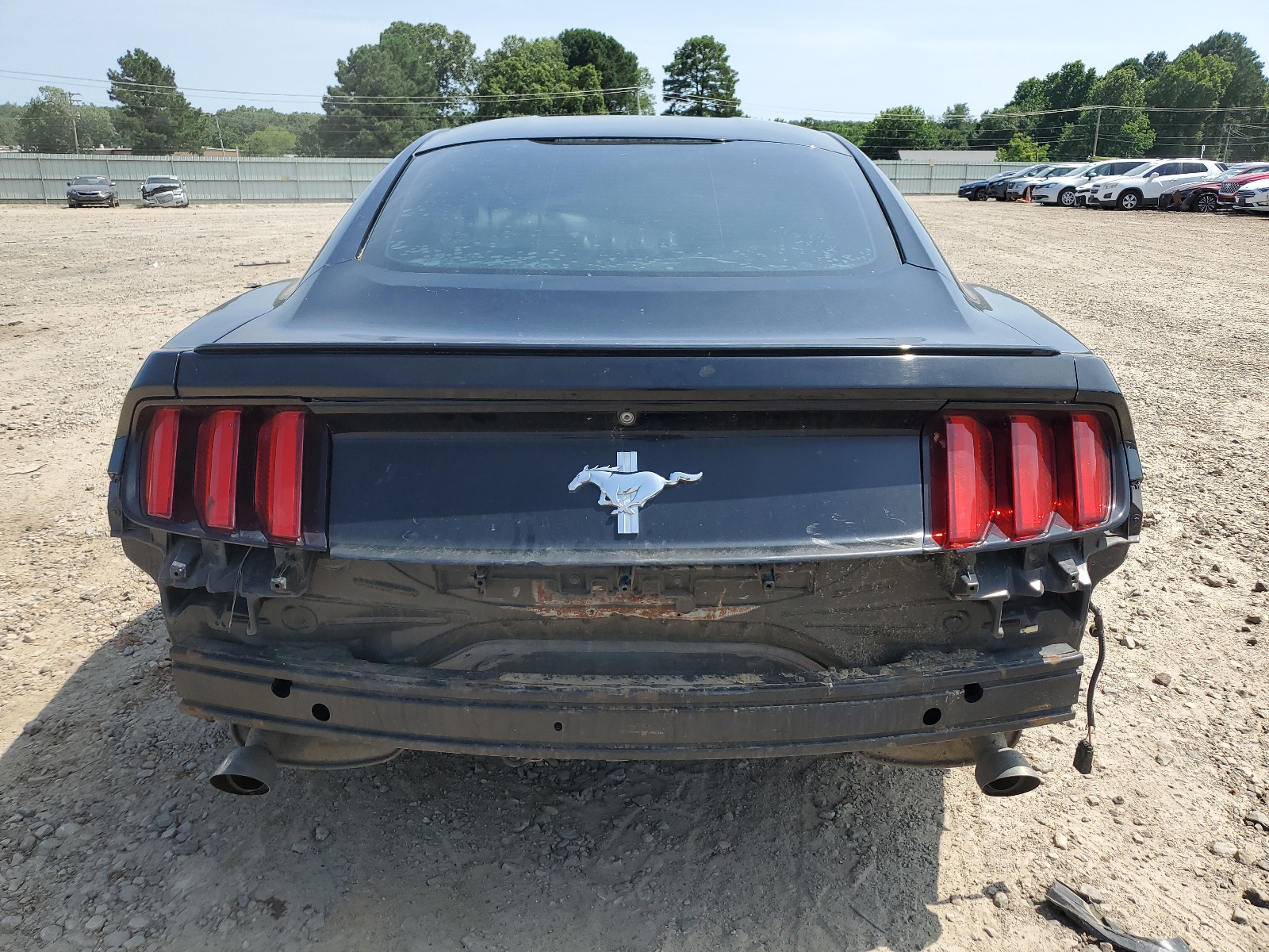 1FA6P8AMXF5319719 2015 Ford Mustang