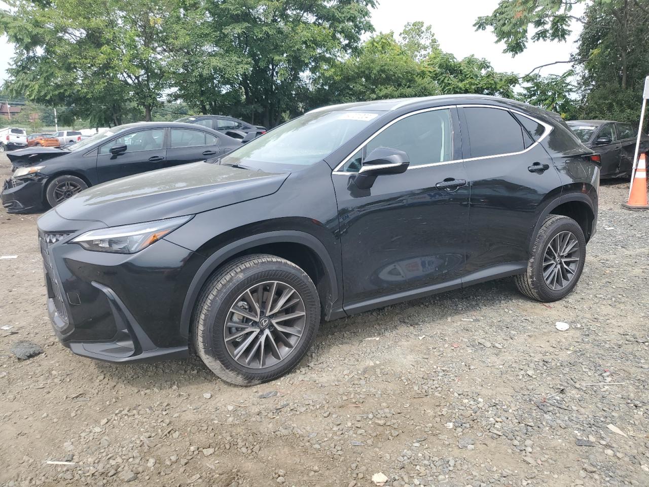 2025 Lexus Nx 350 Premium VIN: 2T2GGCEZ1SC063857 Lot: 64701004