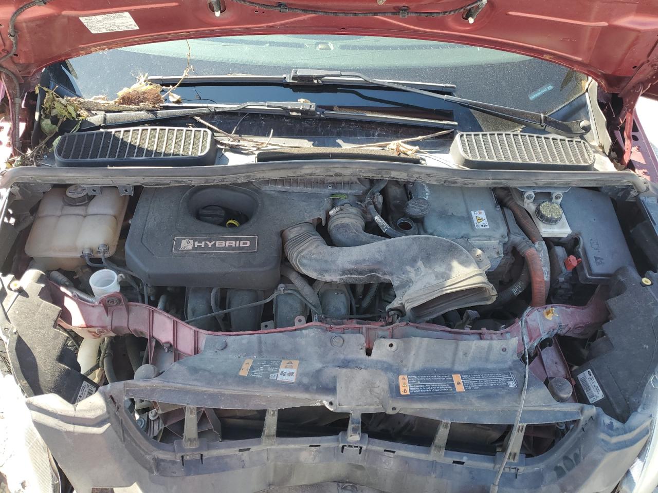 2013 Ford C-Max Se VIN: 1FADP5AU5DL516442 Lot: 61300264