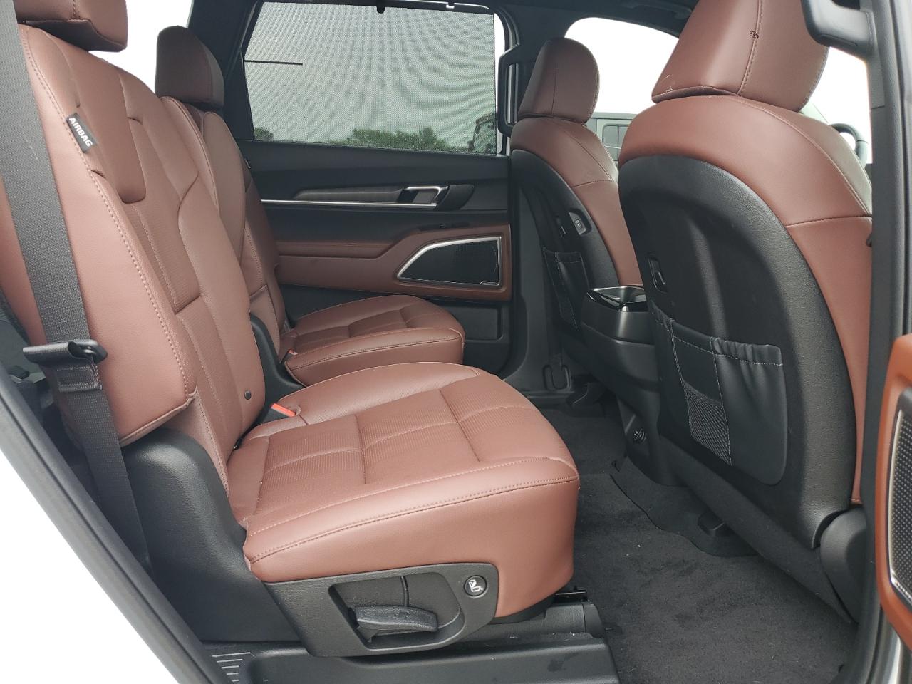 2024 Kia Telluride Ex VIN: 5XYP3DGC9RG487641 Lot: 64513734