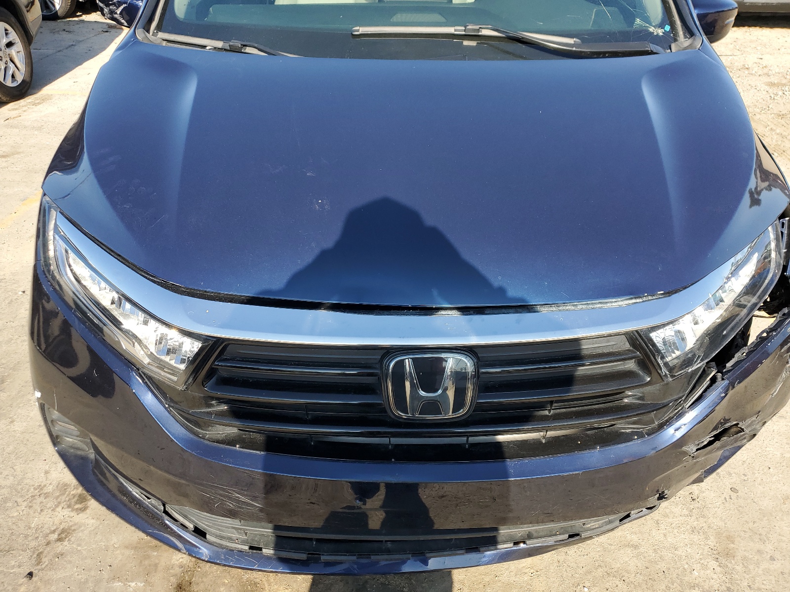 2022 Honda Odyssey Exl vin: 5FNRL6H75NB009661