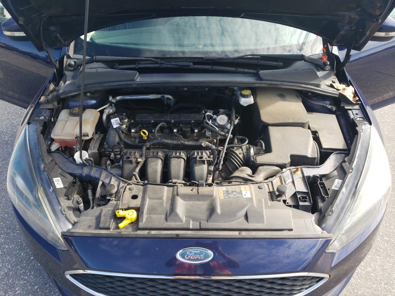 1FADP3M2XHL336779 2017 Ford Focus Sel