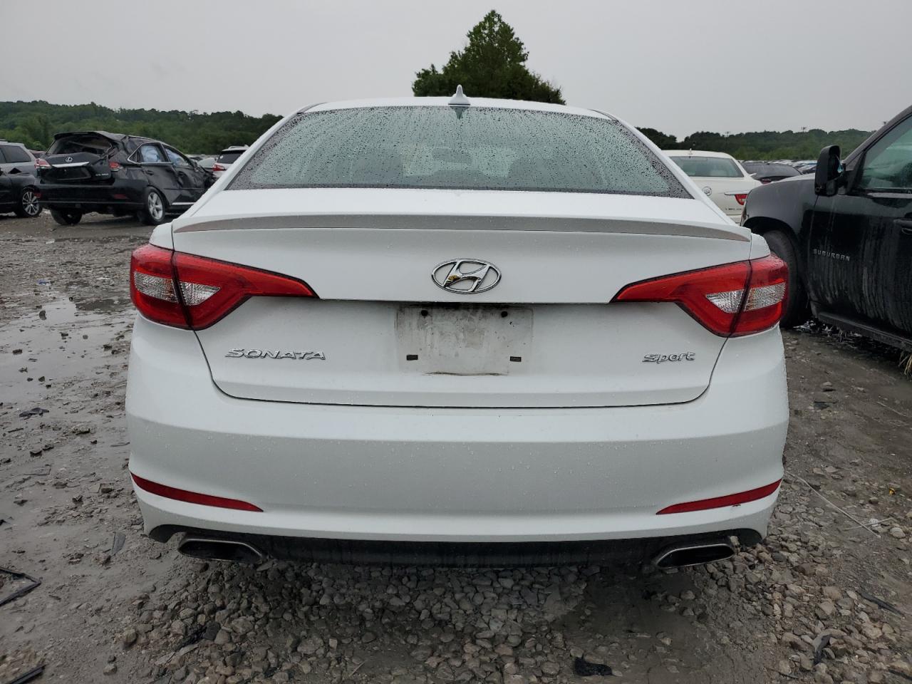 2017 Hyundai Sonata Sport VIN: 5NPE34AF0HH554872 Lot: 61168254