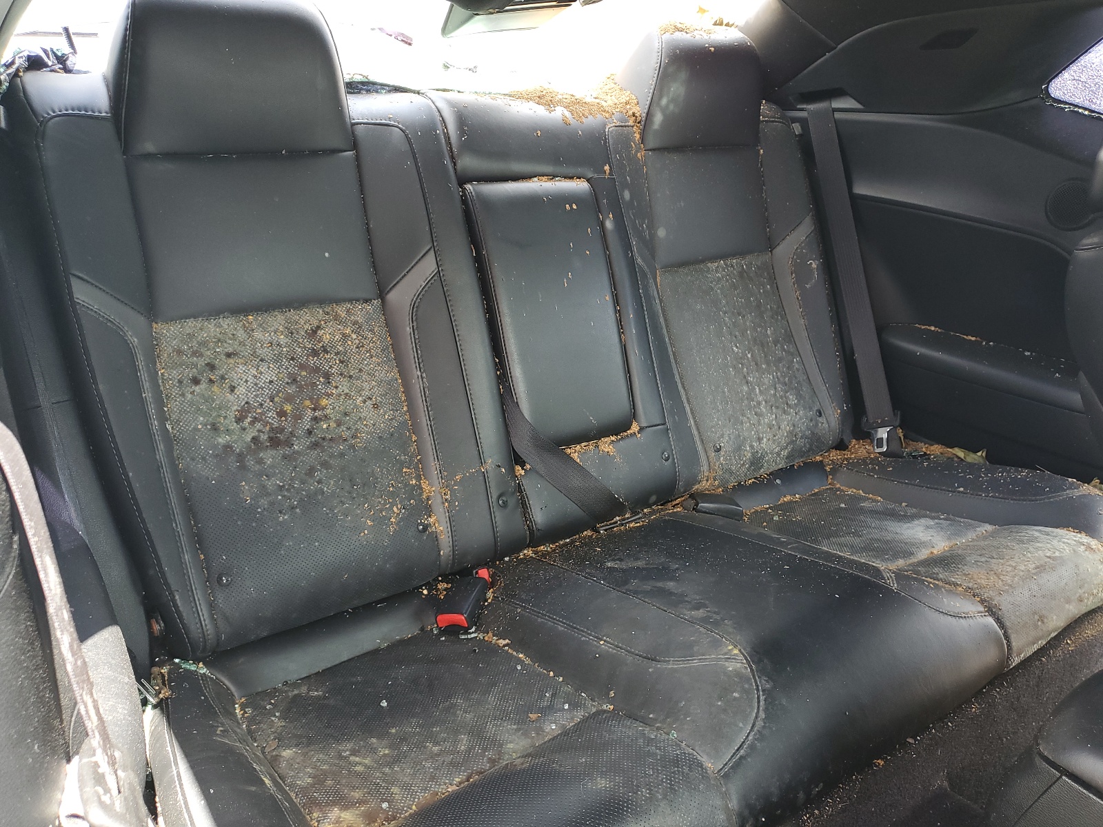 2C3CDZBT3HH509508 2017 Dodge Challenger R/T