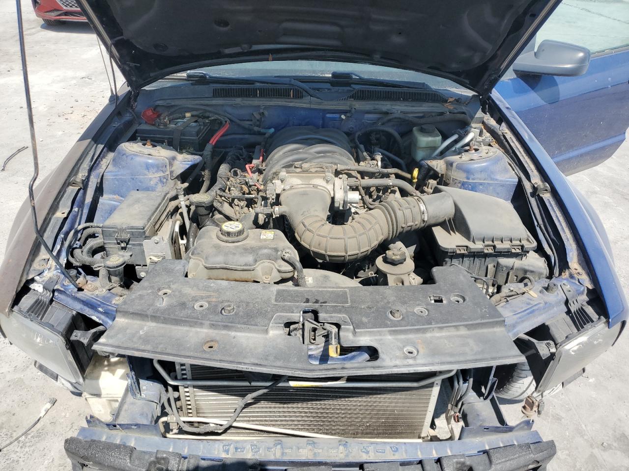 2006 Ford Mustang Gt VIN: 1ZVHT82H965157773 Lot: 61399234