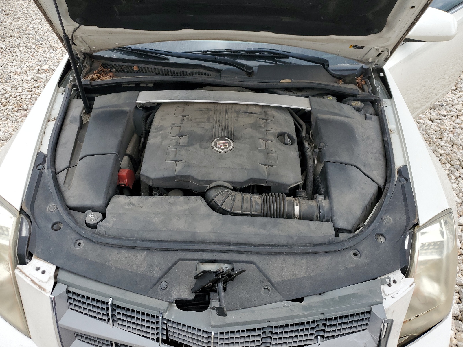 1G6DP1ED0B0161162 2011 Cadillac Cts Premium Collection