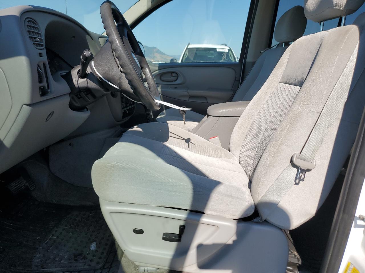 2008 Chevrolet Trailblazer Ls VIN: 1GNDT13S182232304 Lot: 61852314