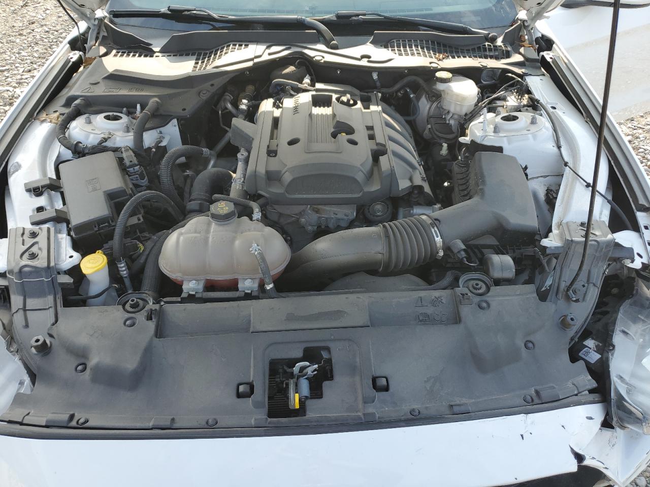 2019 Ford Mustang VIN: 1FA6P8TH9K5129436 Lot: 64938794