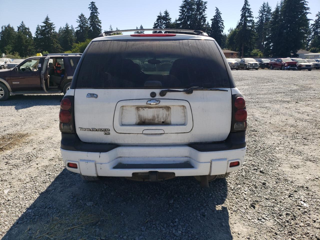 2006 Chevrolet Trailblazer Ls VIN: 1GNDT13S362119385 Lot: 63476864