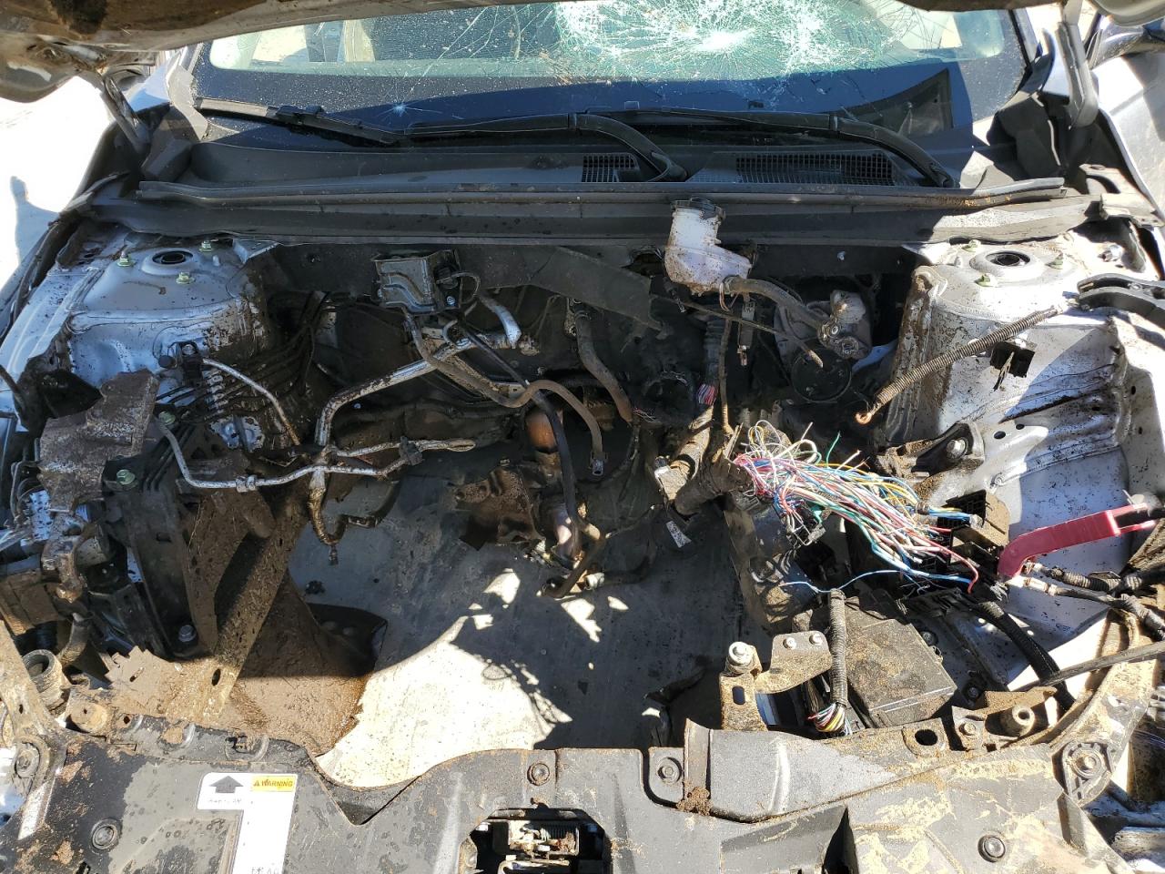 1HGCY1F3XRA028264 2024 Honda Accord Ex