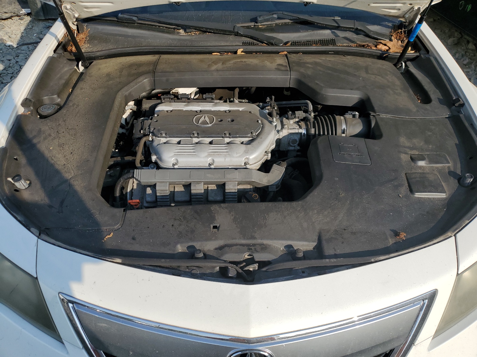 19UUA8F7XCA031130 2012 Acura Tl