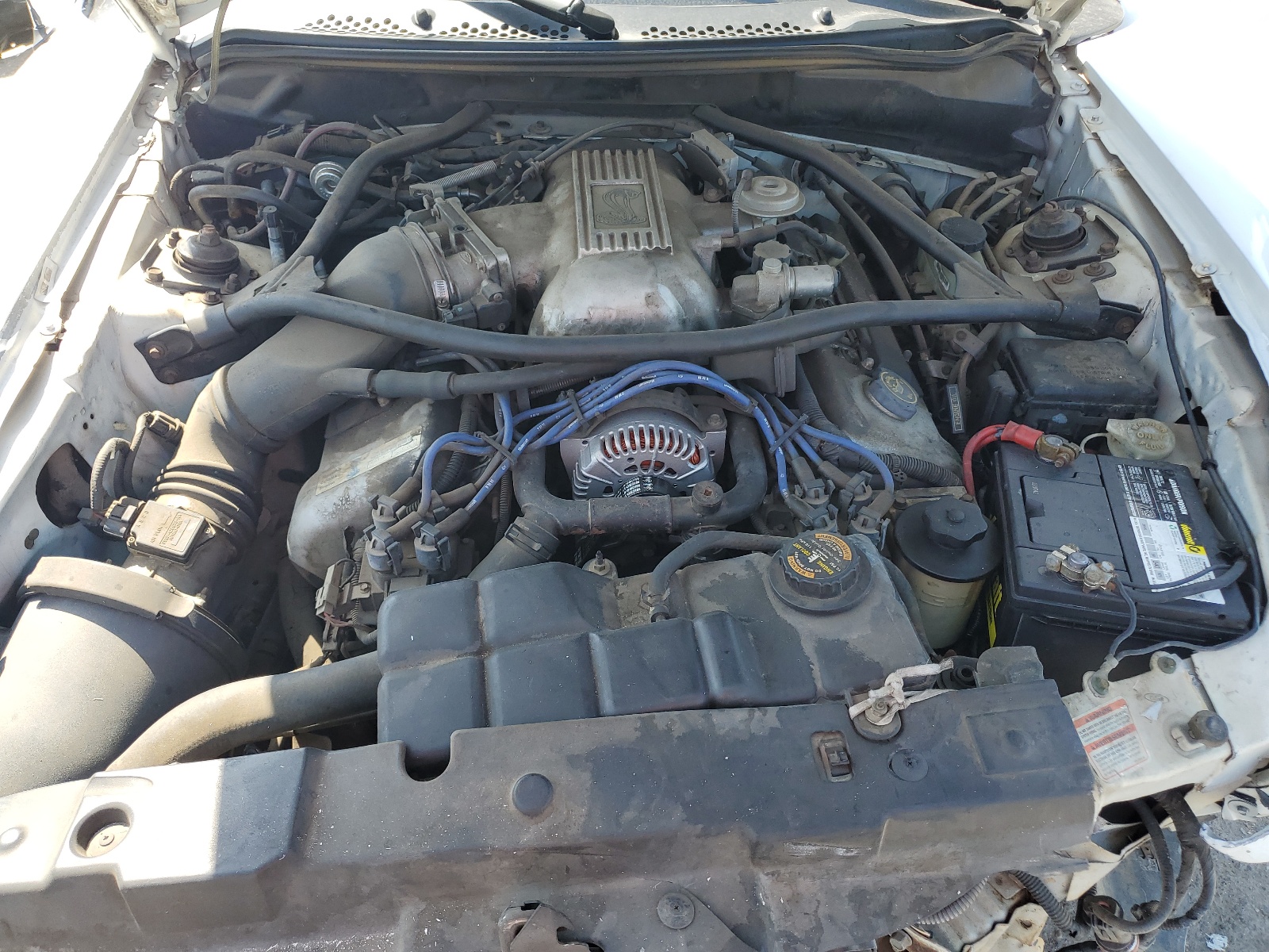 1FALP47V9VF162561 1997 Ford Mustang Cobra