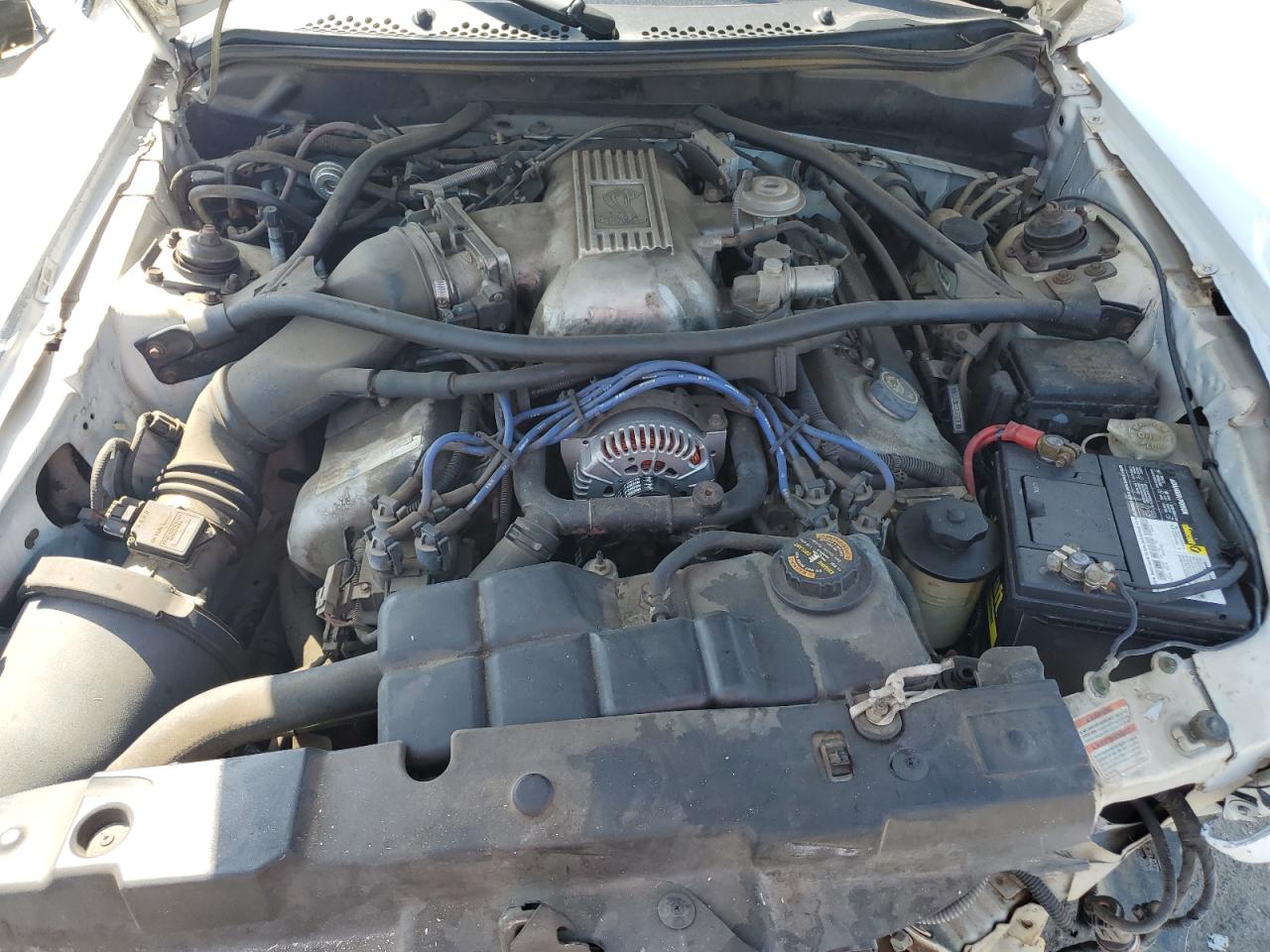 1997 Ford Mustang Cobra VIN: 1FALP47V9VF162561 Lot: 63416024