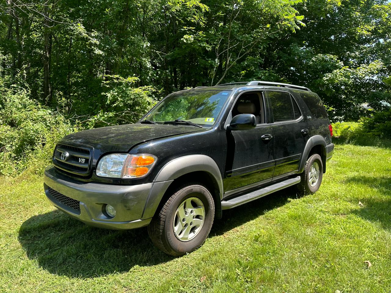 2004 Toyota Sequoia Sr5 VIN: 5TDBT44A24S213979 Lot: 64372744