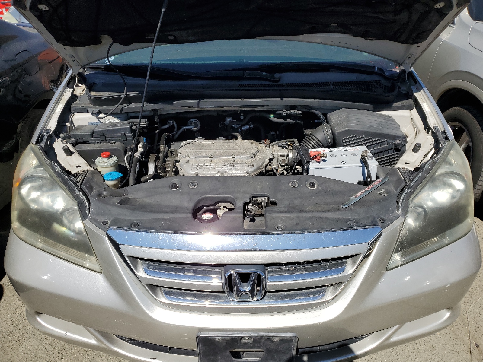 5FNRL384X6B459618 2006 Honda Odyssey Ex