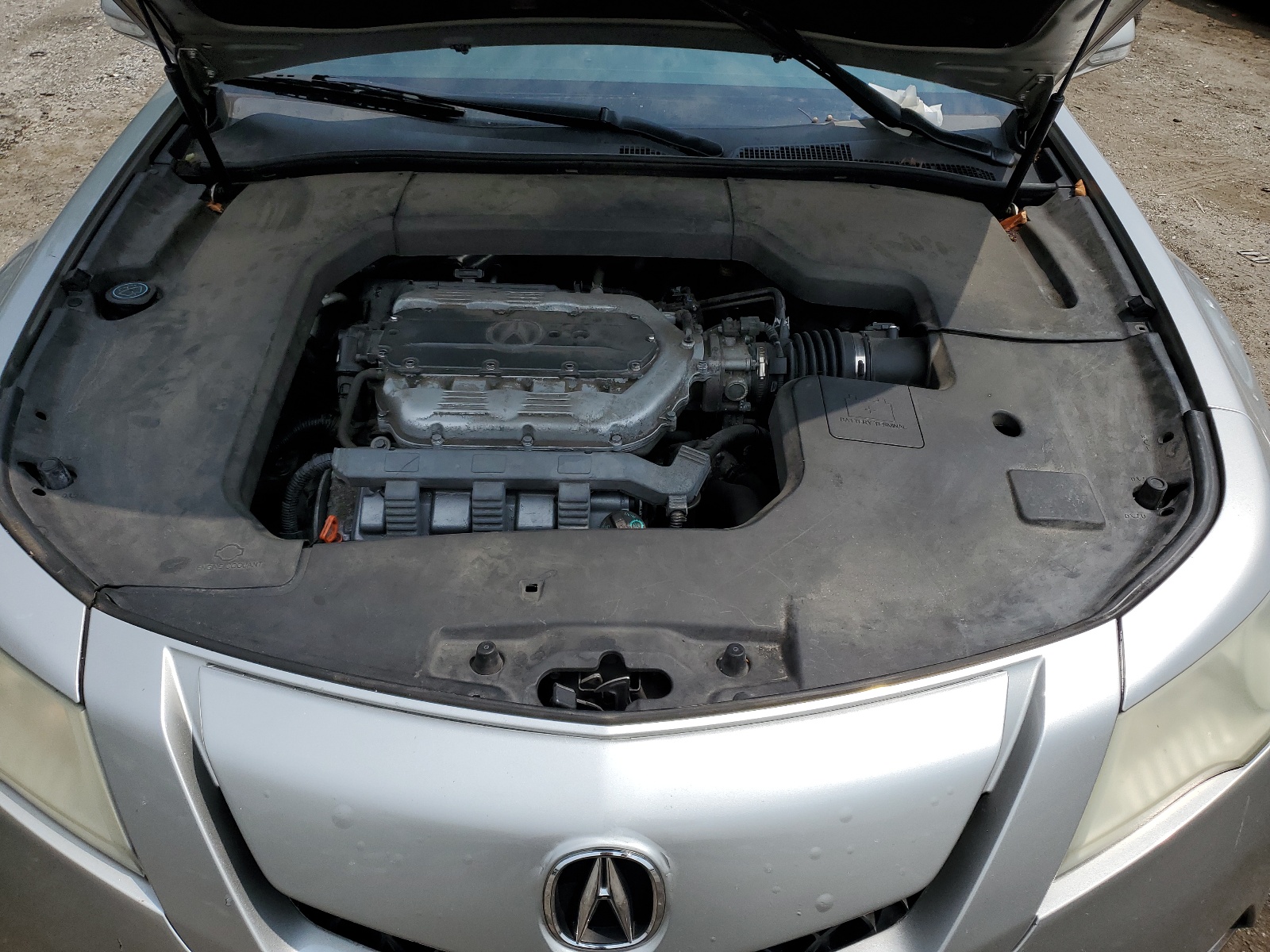 19UUA8F56BA002902 2011 Acura Tl