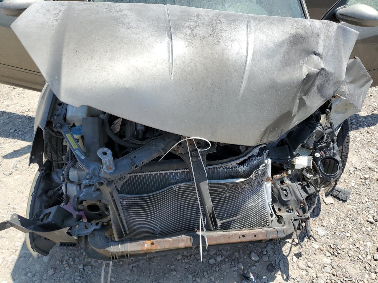 2005 Nissan Altima Se VIN: 1N4BL11D15C296231 Lot: 62742524