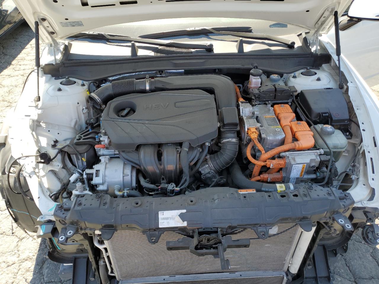 2020 Hyundai Sonata Hybrid VIN: KMHL24JJXLA013631 Lot: 63226994