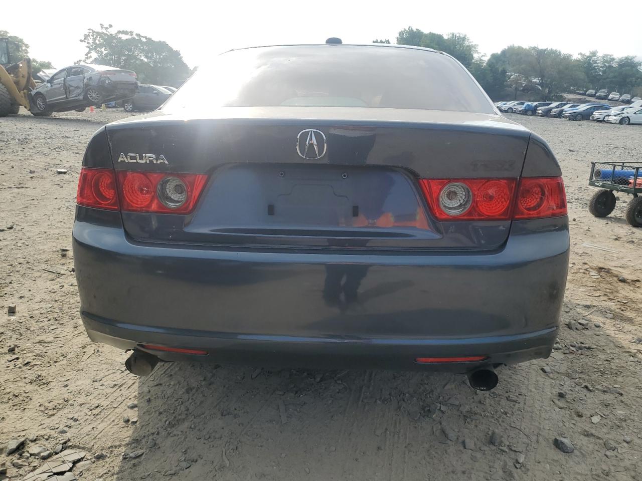 2008 Acura Tsx VIN: JH4CL96908C019994 Lot: 61964414