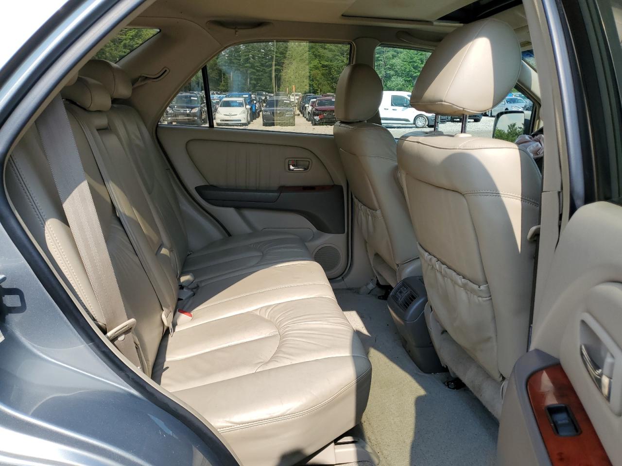 2002 Lexus Rx 300 VIN: JTJHF10U420279656 Lot: 63453684