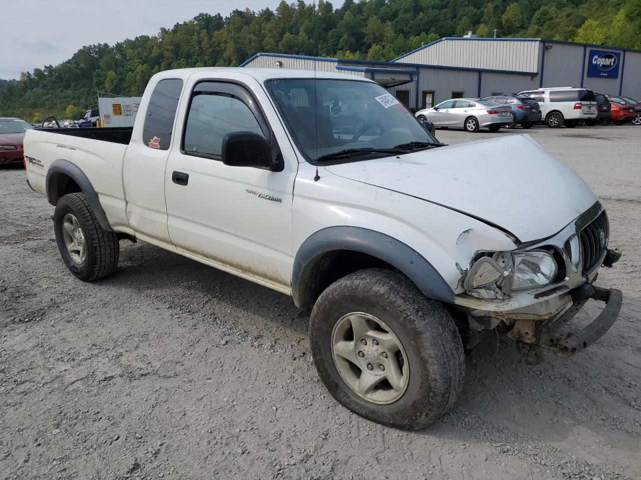 2001 Toyota Tacoma Xtracab VIN: 5TEWN72N31Z747185 Lot: 64049214