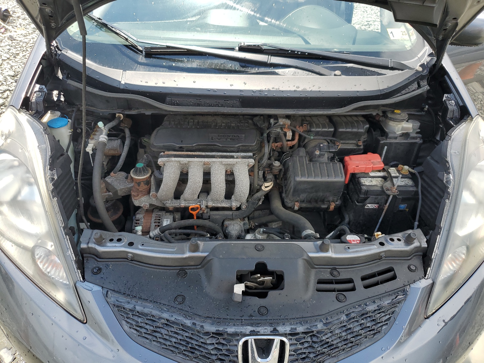 JHMGE8G36DC027561 2013 Honda Fit