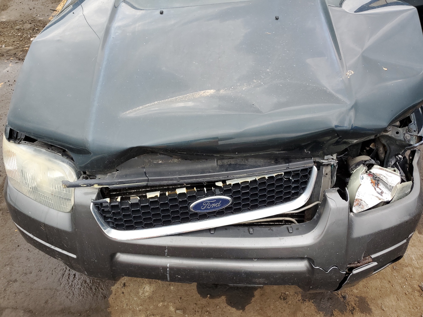 1FMYU03154KA81109 2004 Ford Escape Xlt